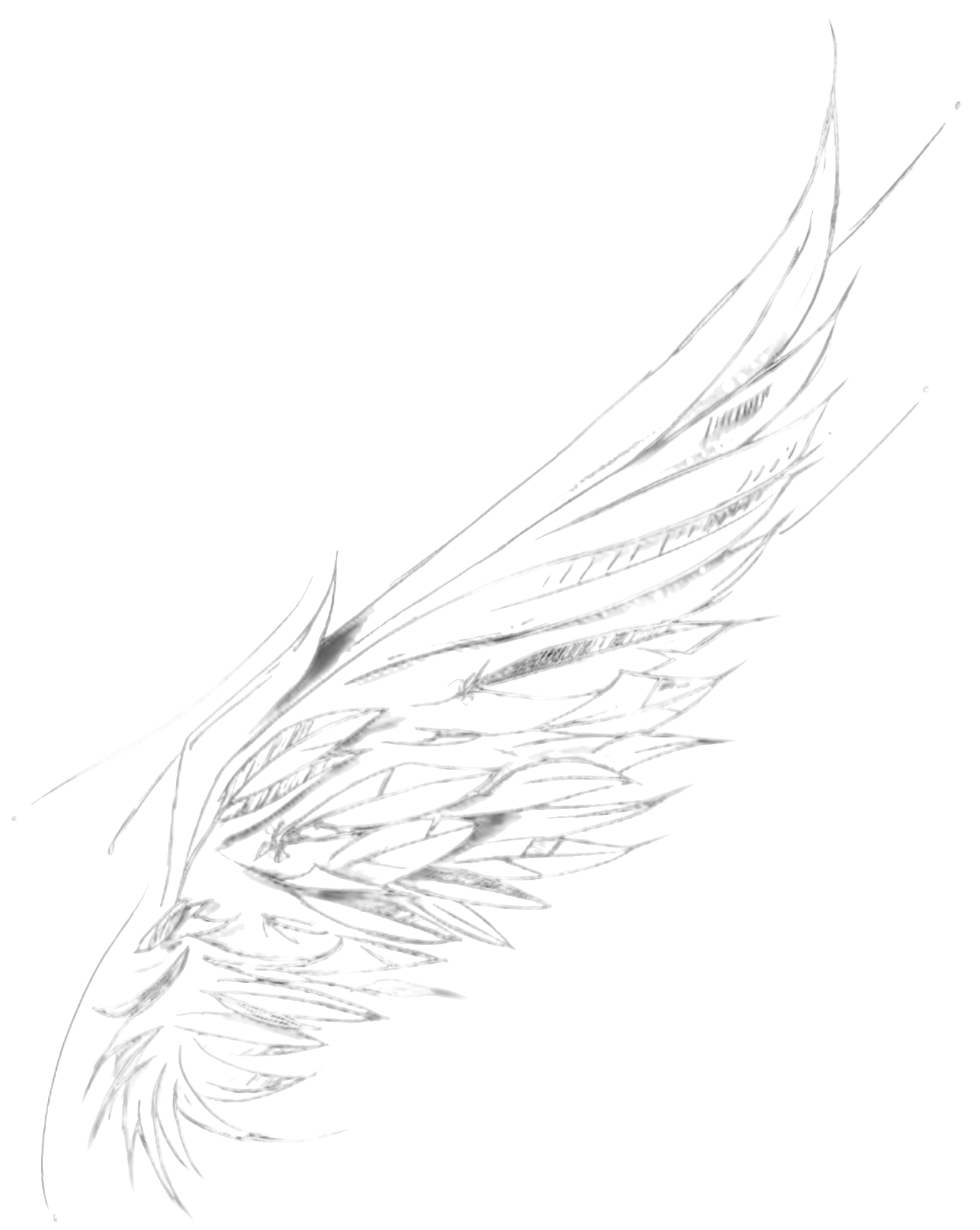 Wings